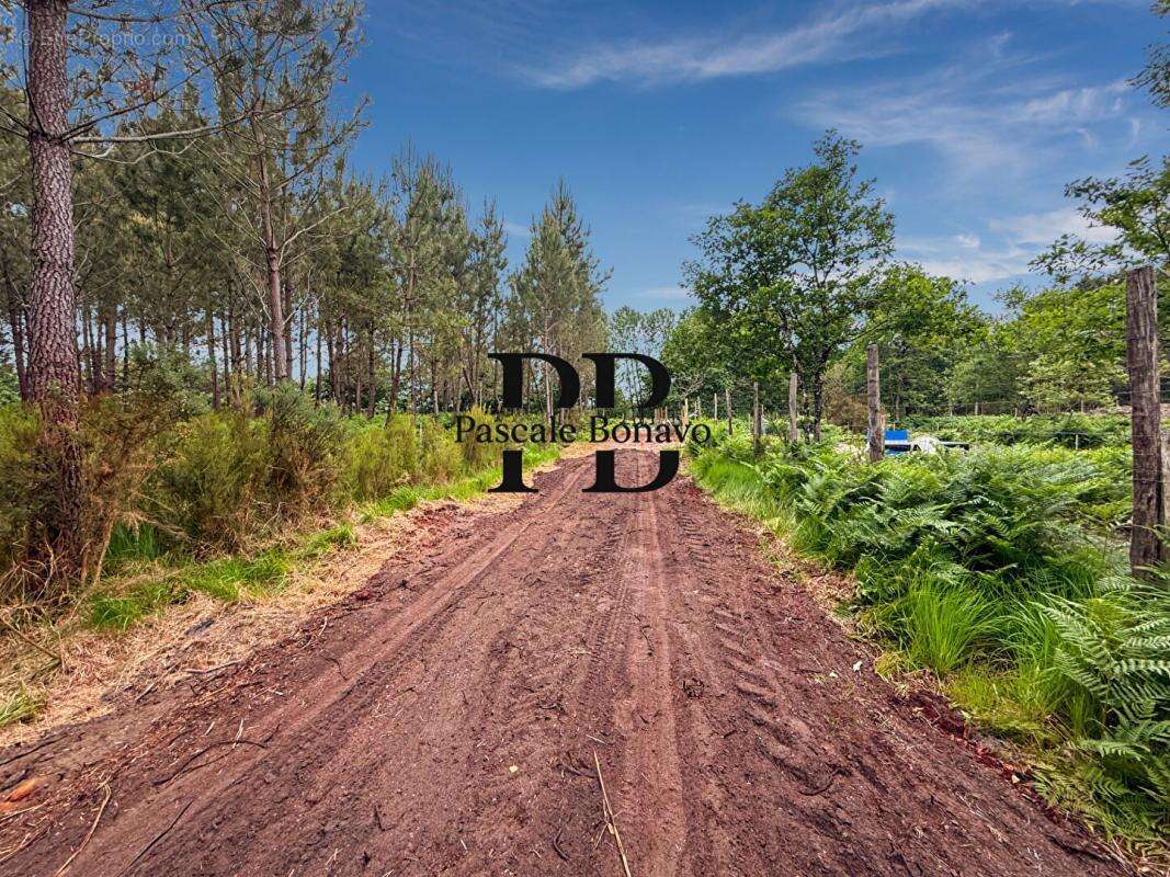 Terrain à VENDAYS-MONTALIVET