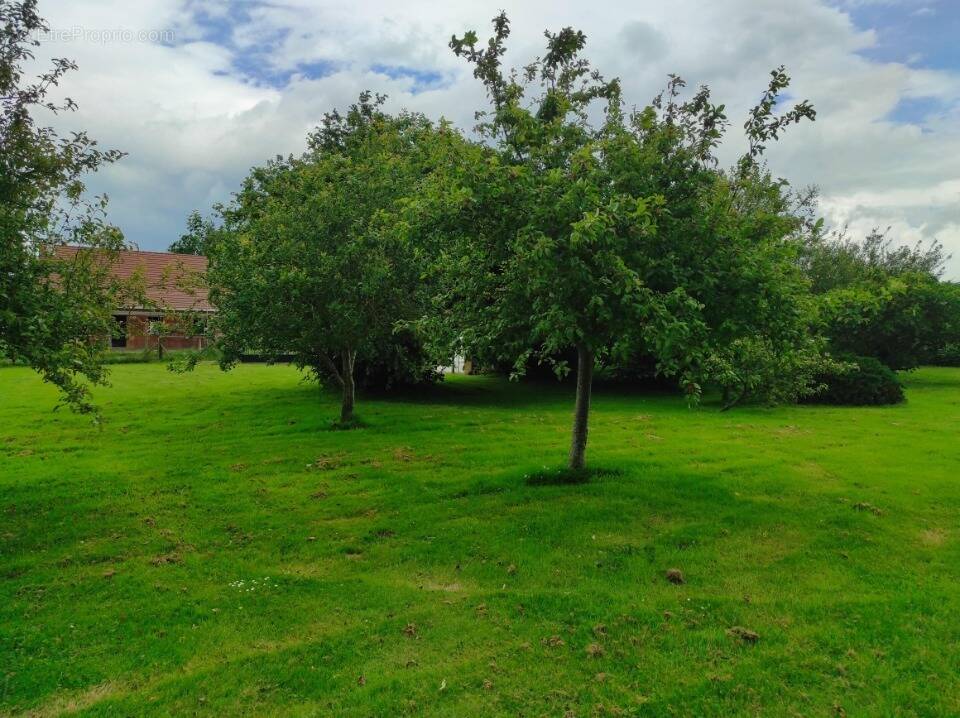 Terrain à PANILLEUSE