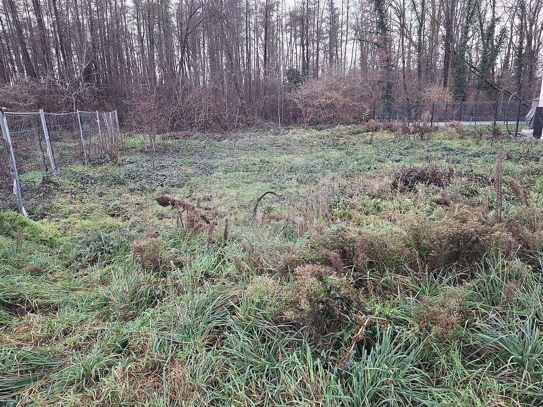 Terrain à ISSENHEIM