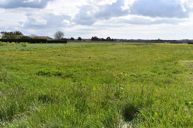 Terrain à LA BREE-LES-BAINS
