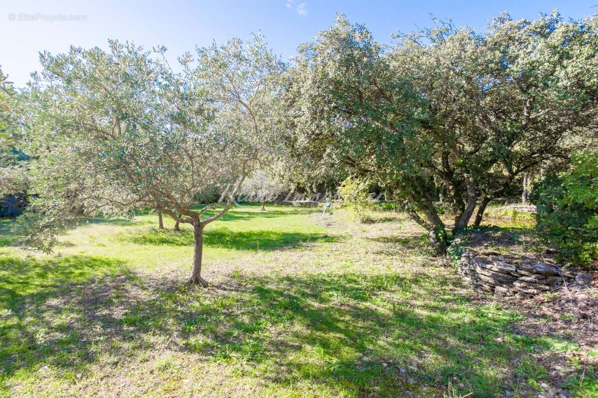 Maison à CABRIERES-D&#039;AVIGNON