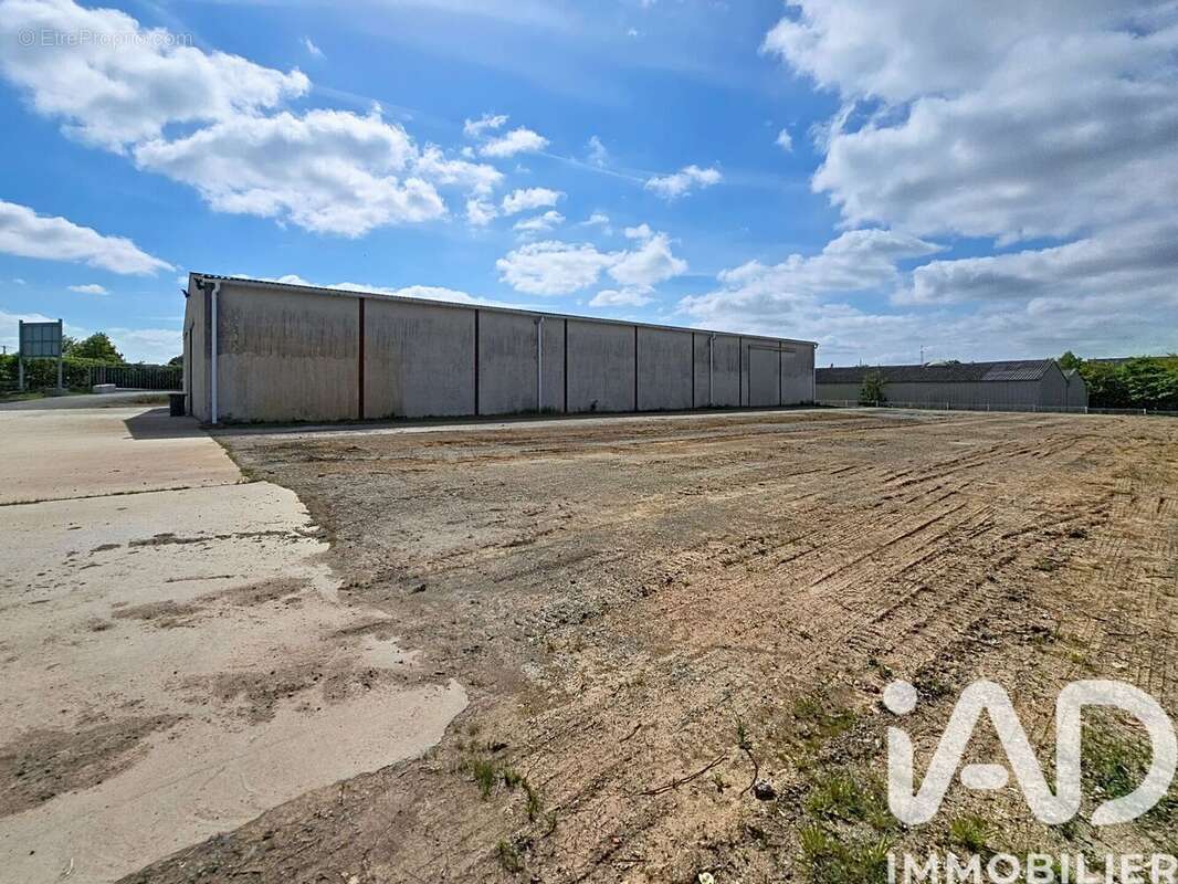 Photo 5 - Appartement à MOZE-SUR-LOUET