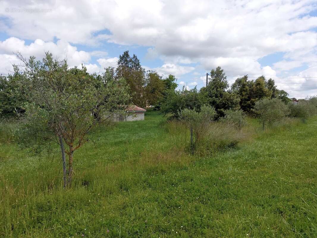 Maison à CORDES-SUR-CIEL
