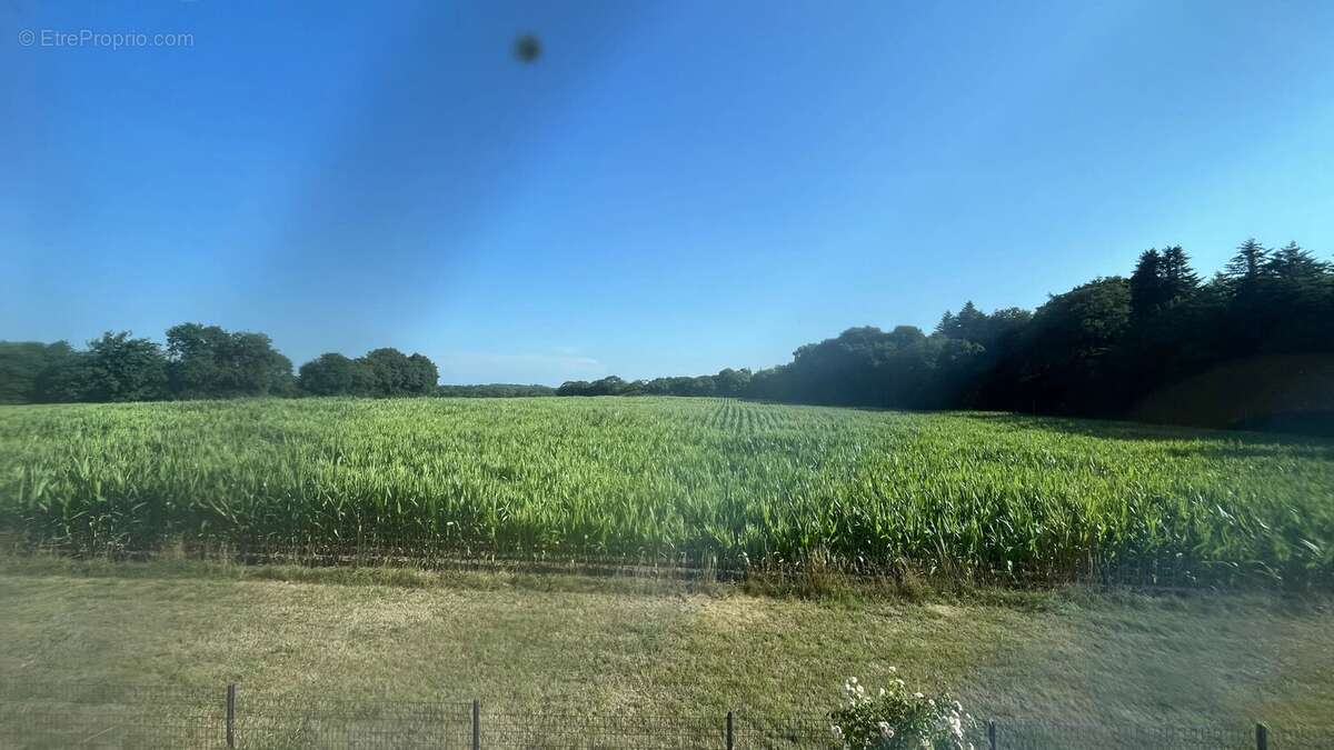 Le tronchet - photo 7