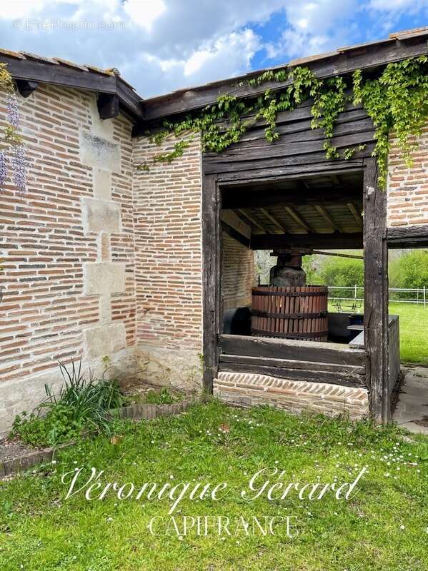 Belle Girondine avec Gîte et boxes pour chevaux à SAINT CHRISTOPHE DE DOUBLE sur 12000M² de terrain - photo 9