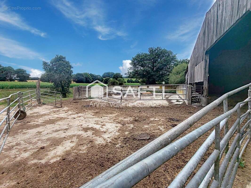 Photo 3 - Terrain à FOUGEROLLES-DU-PLESSIS