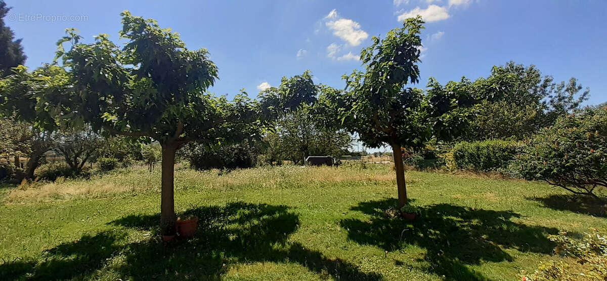 Maison à SAINT-GALMIER