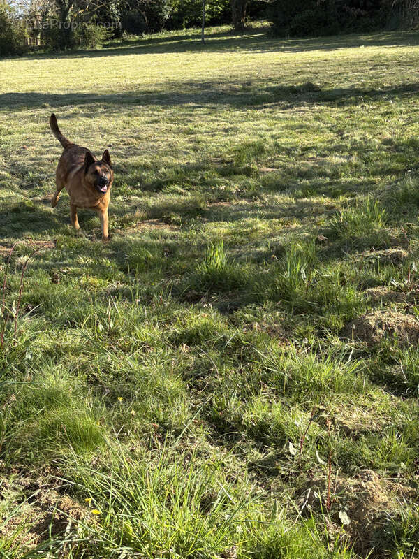 Terrain à LAA-MONDRANS