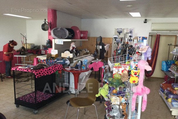 Commerce à SAINT-HILAIRE-DE-BRETHMAS