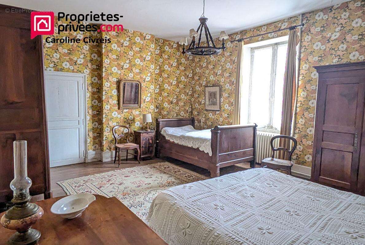 Maison de maitre avec annexes et prés potenteils . Habitation et profession libérale - photo 4
