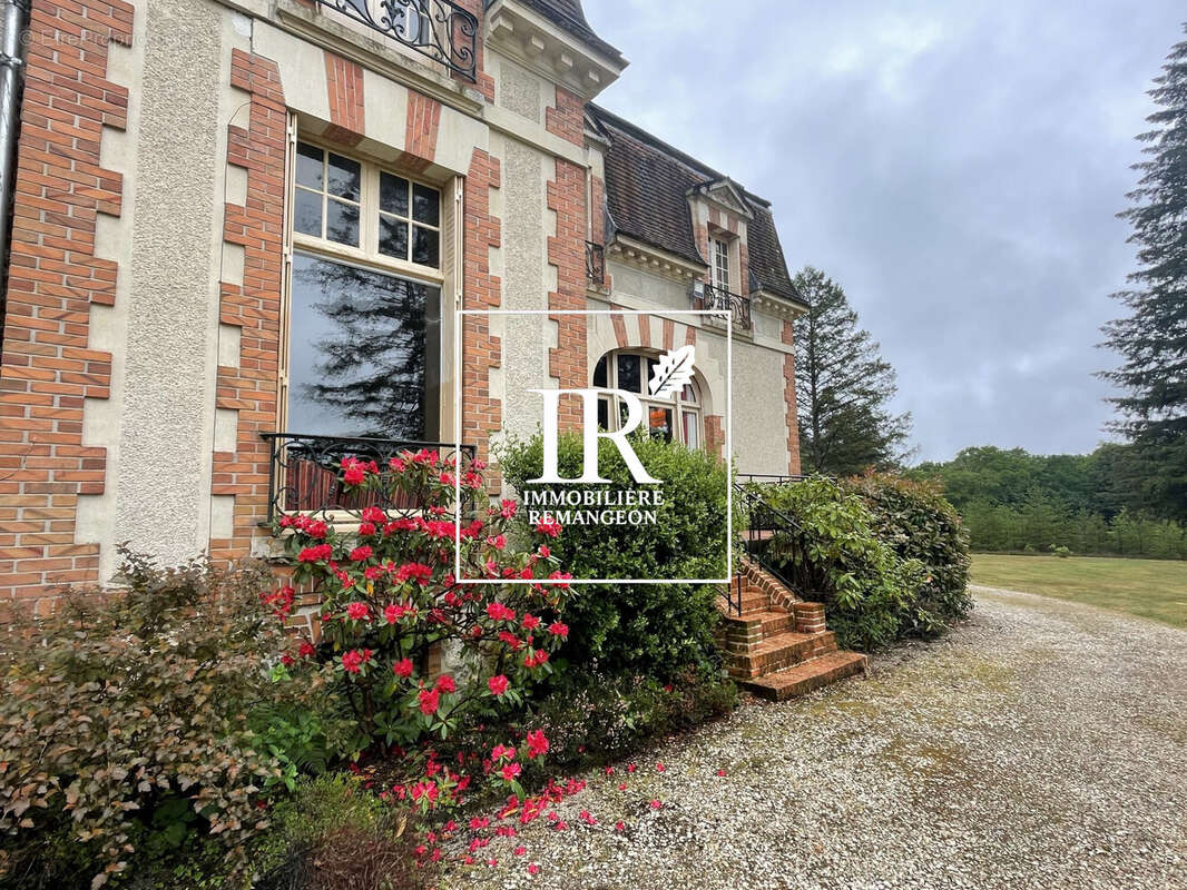 Maison 330 m² à Lamotte-Beuvron  - photo 3
