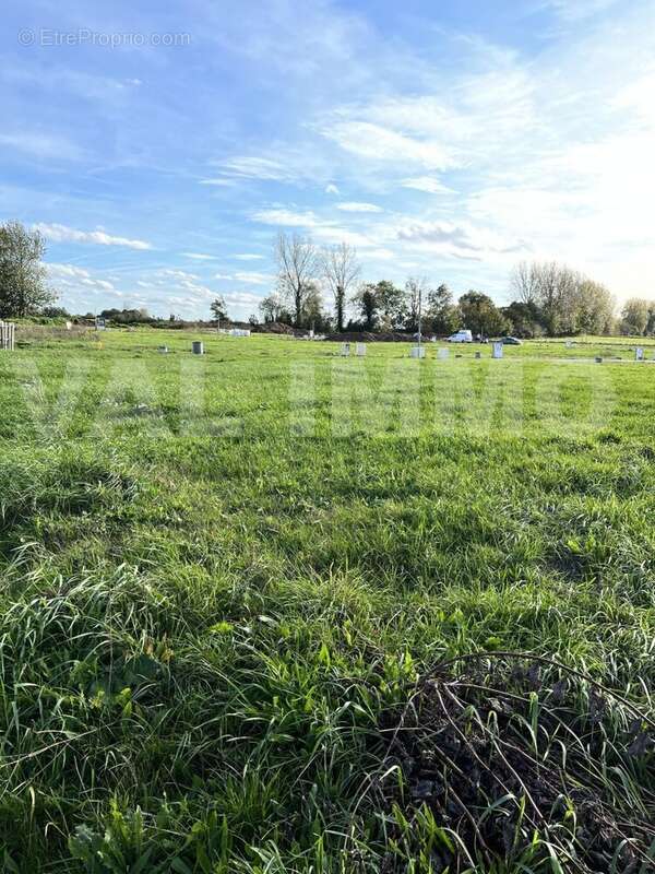 IMG_9905 - Terrain à VILLERS-AU-TERTRE