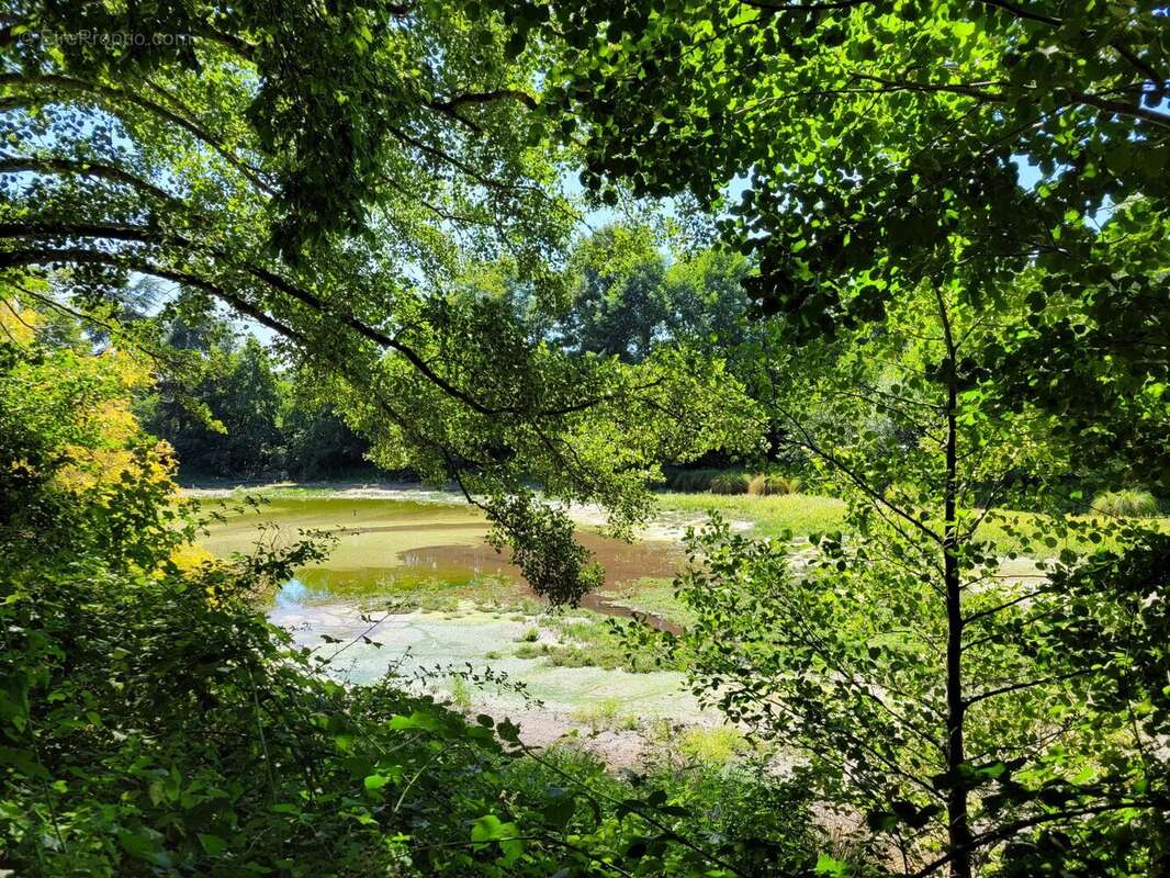 Maison à LONGNY-AU-PERCHE