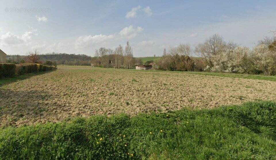 Terrain à VIEILLEVIGNE