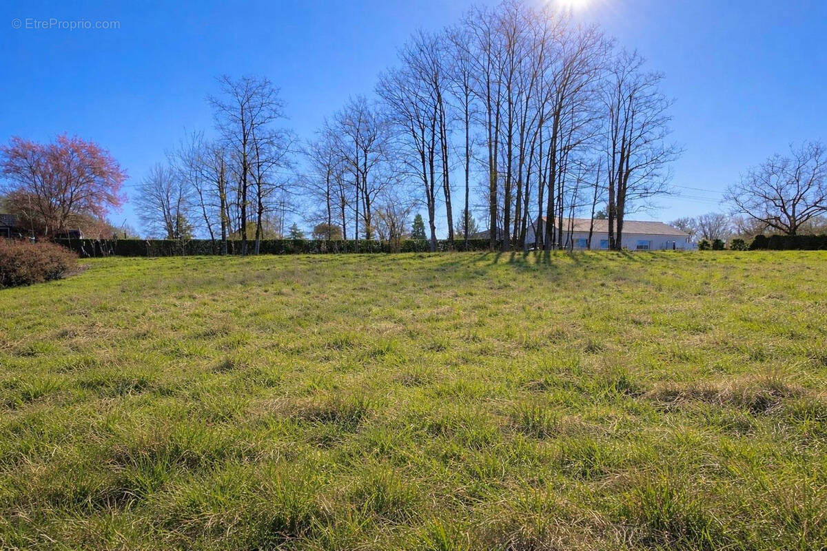 Terrain à FRANOIS