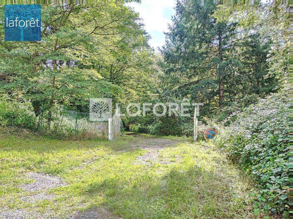 Terrain à PRATS-DE-MOLLO-LA-PRESTE