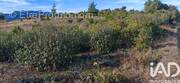 Photo 1 - Terrain à SAINT-PAUL-DE-FENOUILLET