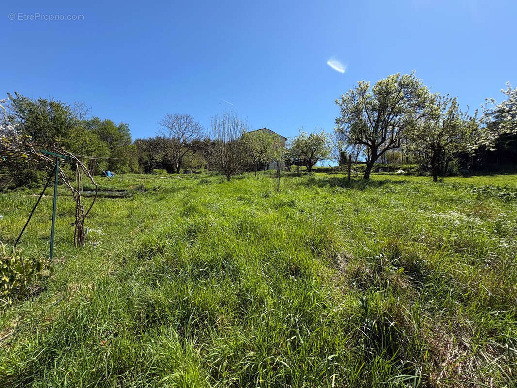 Maison à SAINT-AMANS-VALTORET