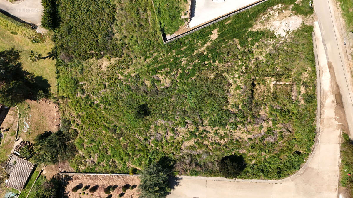 Terrain à CALCATOGGIO