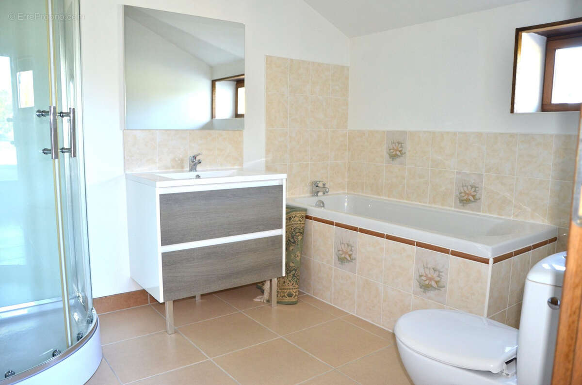 Maison à LE CHATELET