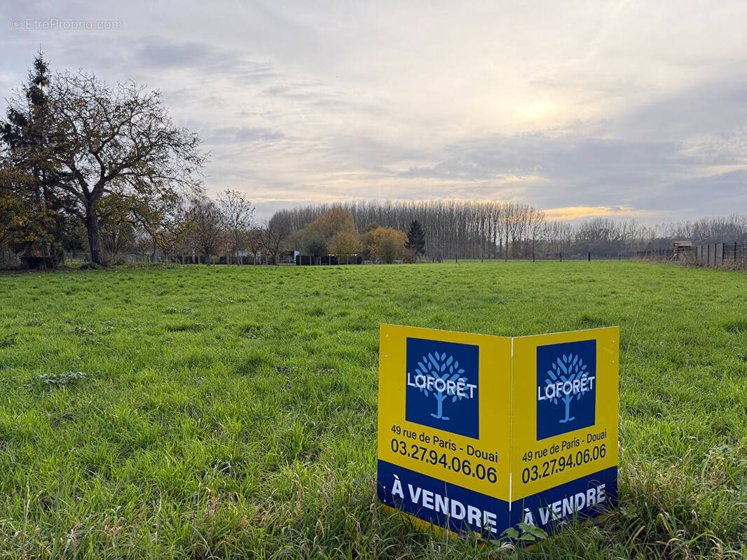 Terrain à FLINES-LEZ-RACHES