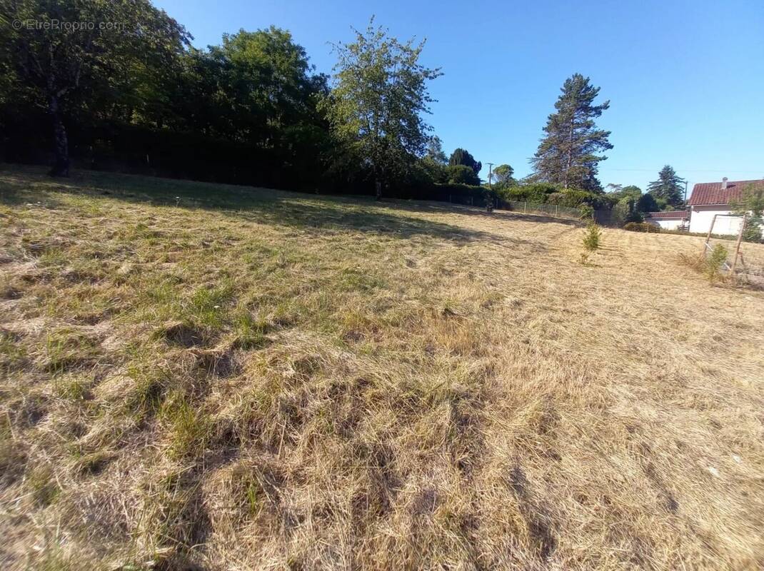 Terrain à CHAMPNIERS