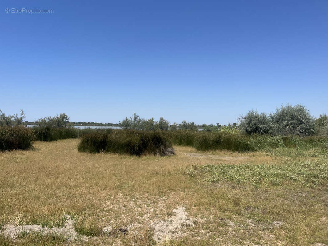Terrain à AIGUES-MORTES