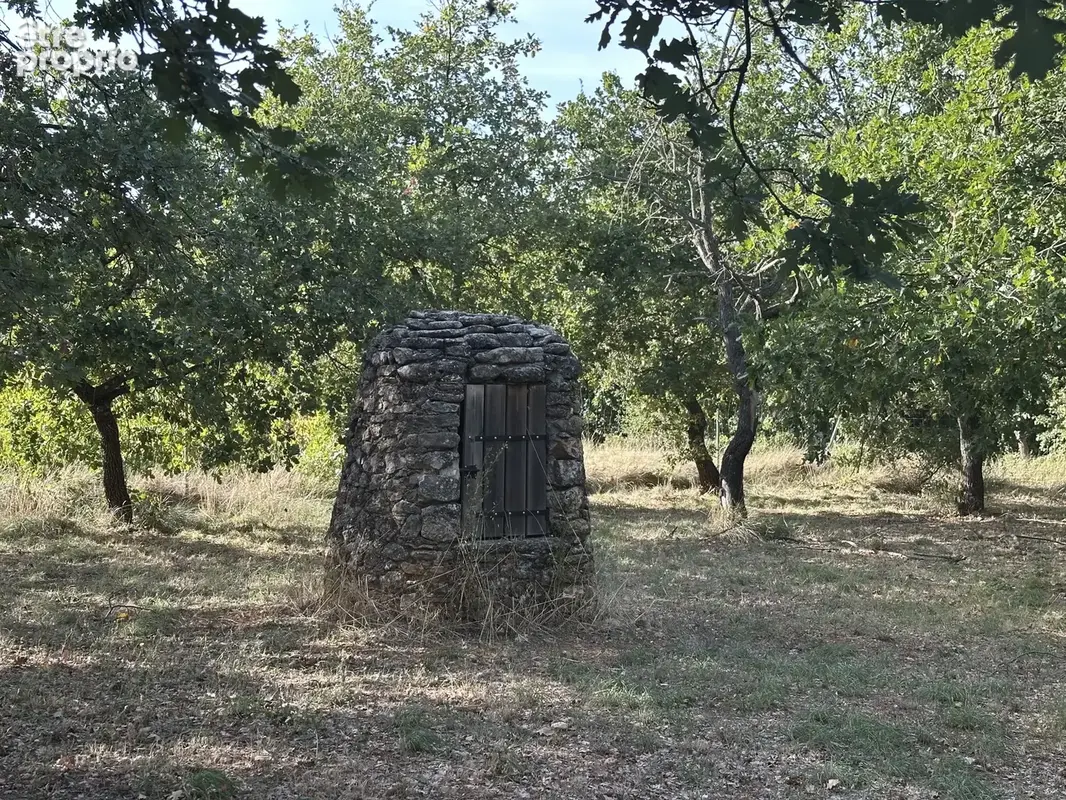 Mas au coeur du Luberon - photo 16