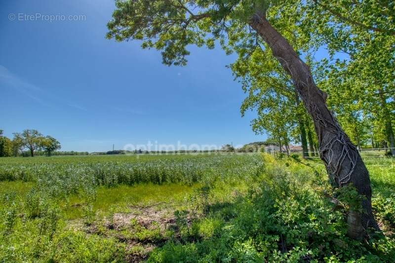 Maison à SAINT-PIERRE-D'OLERON