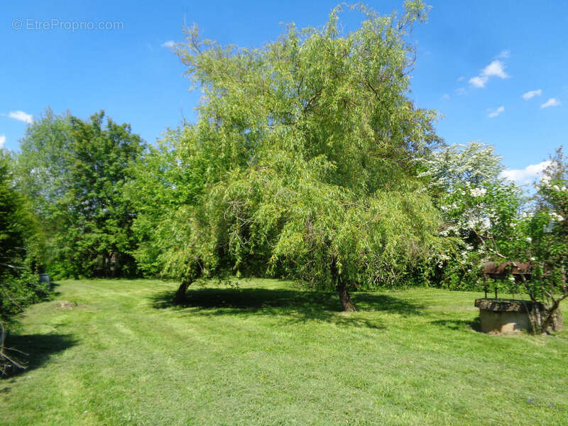 Maisons à vendre TREIGNY (89) Ensemble de deux maison 11pcs 5 ou 6 chbs, piscine, panneau solaire - photo 29