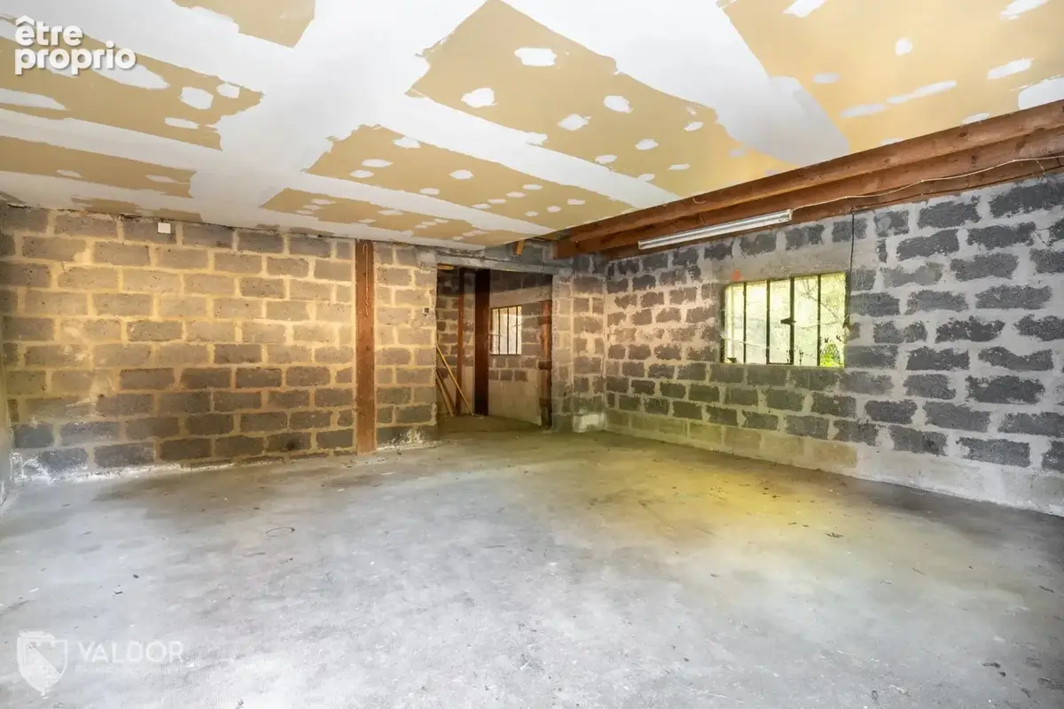 Genay centre - Maison familiale à créer - Jardin de 930 m² - photo 11