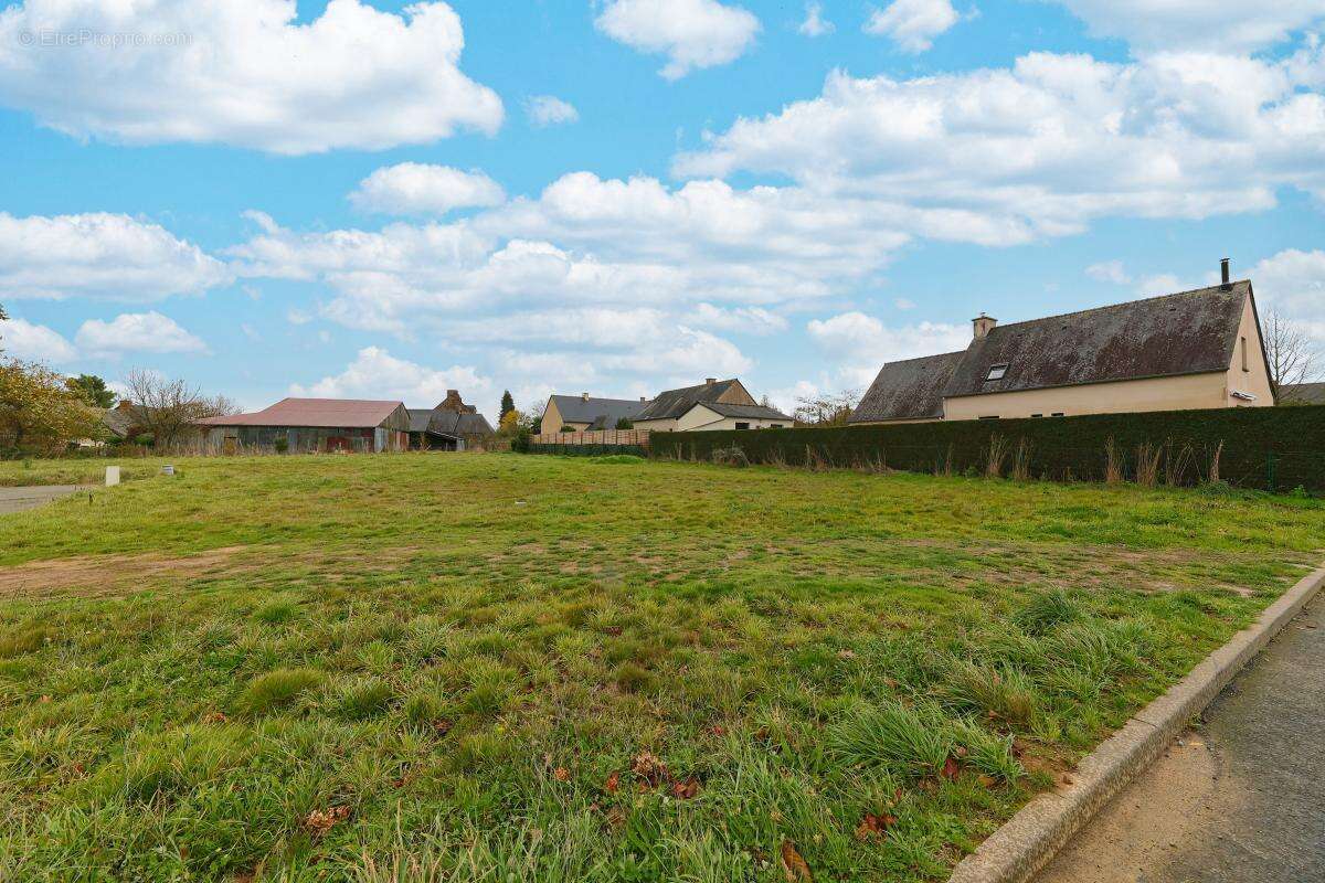 Terrain à LOUVIGNE-DE-BAIS