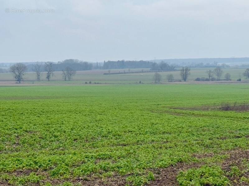 Terrain à GRISY-LES-PLATRES