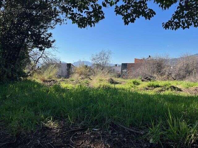 Terrain à CANNES