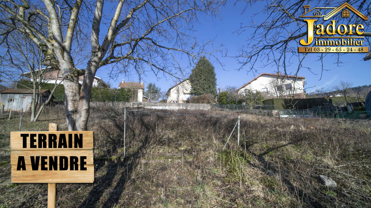 Terrain à COINCHES