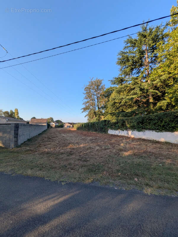 Terrain constructible de 1 793 m2   plat, non viabilisé - photo 10