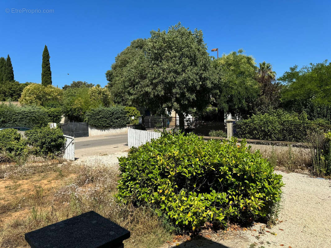 Maison à VENDARGUES