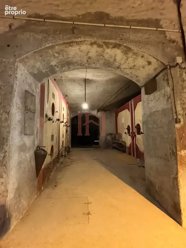 Ensemble atypique au cœur de châteaudun, avec ses anciennes grottes et une vue imprenable sur le château - photo 28