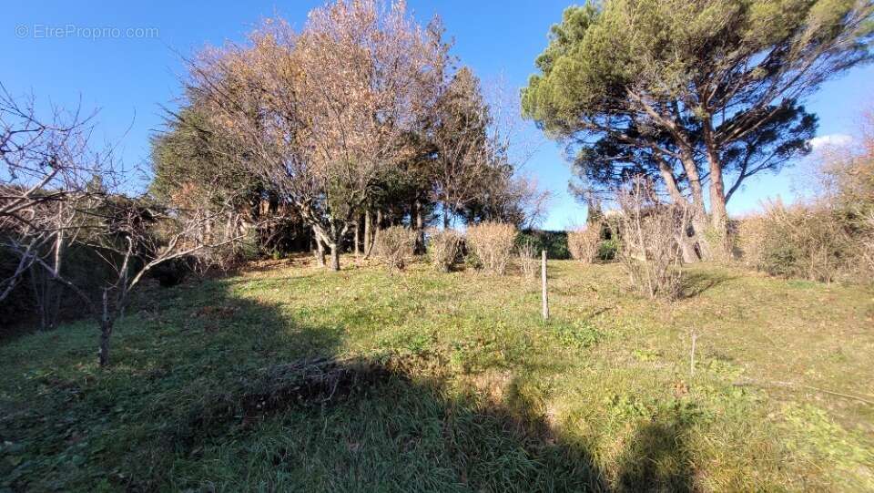 Terrain à MONTELIMAR
