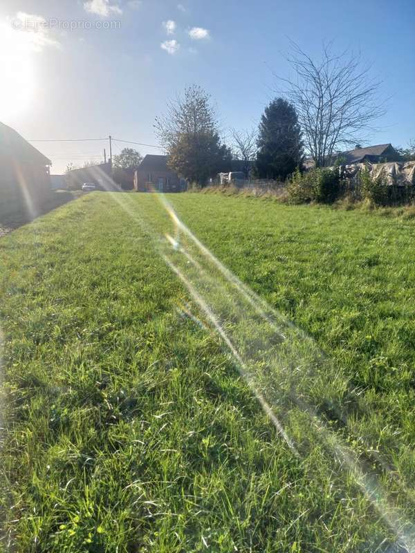 Terrain à BEAUMONT-EN-BEINE