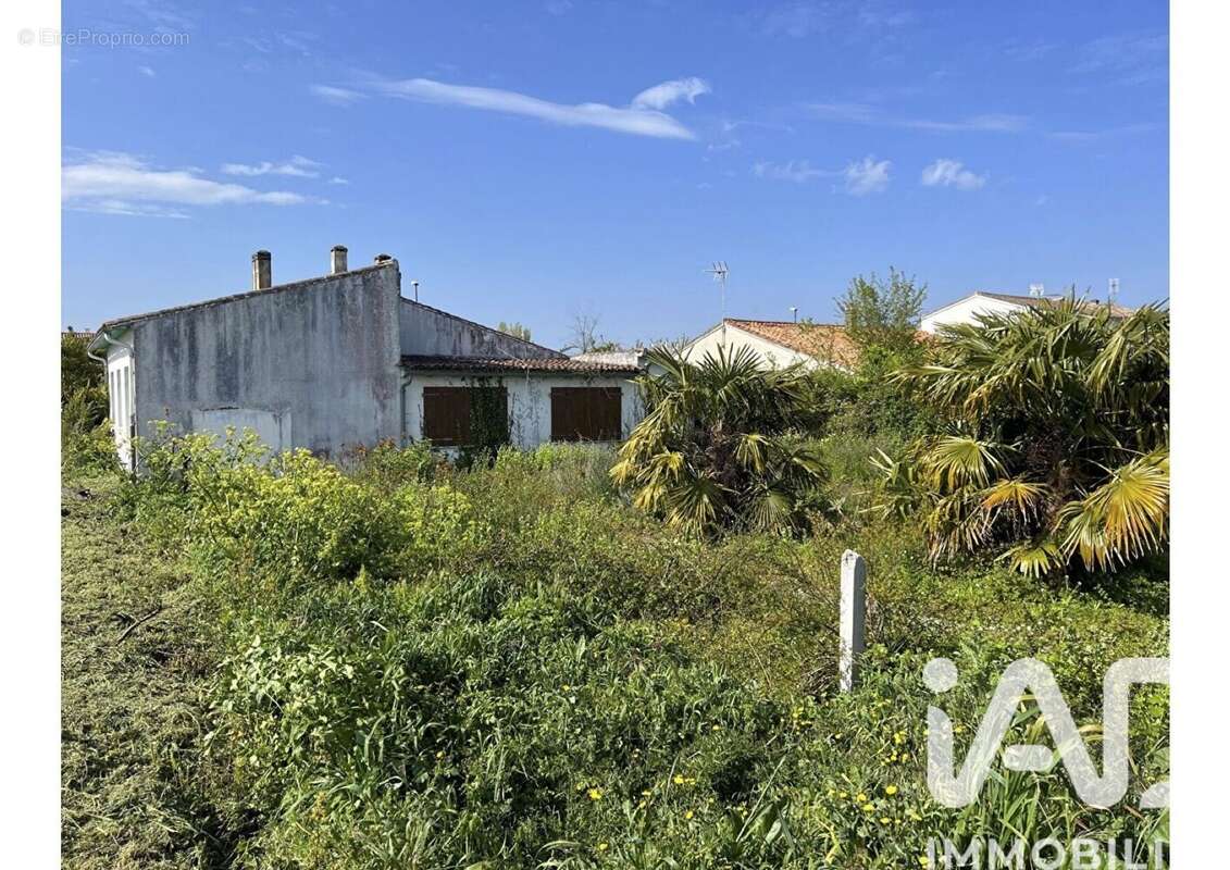 Photo 4 - Maison à SAINT-MARTIN-DE-RE