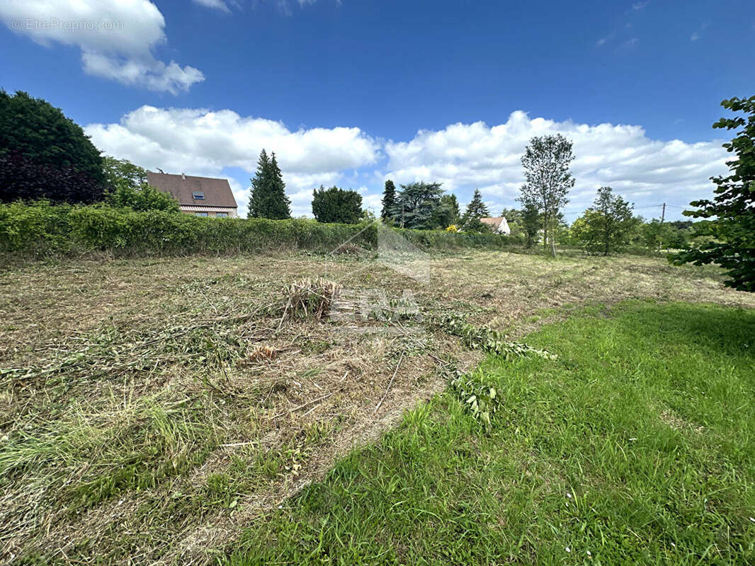 Terrain 1535m² à moret-loing-et-orvanne - photo 2