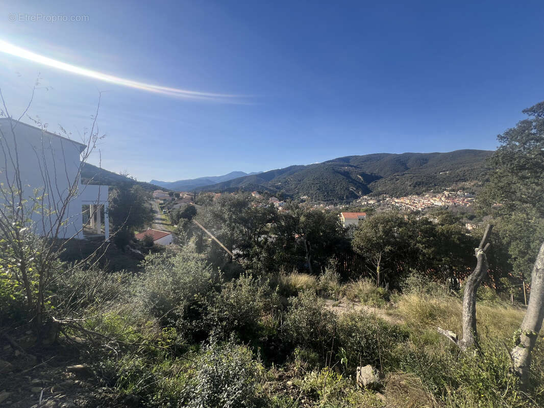 Terrain à AMELIE-LES-BAINS-PALALDA