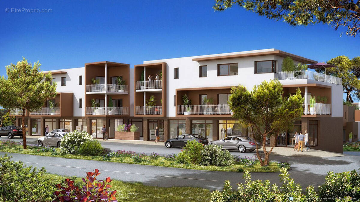 Appartement à ZONZA