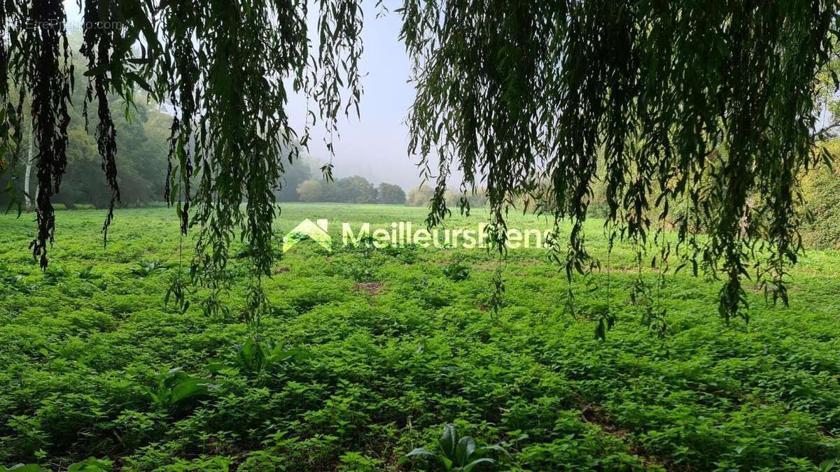 Terrain à MEZIDON-CANON