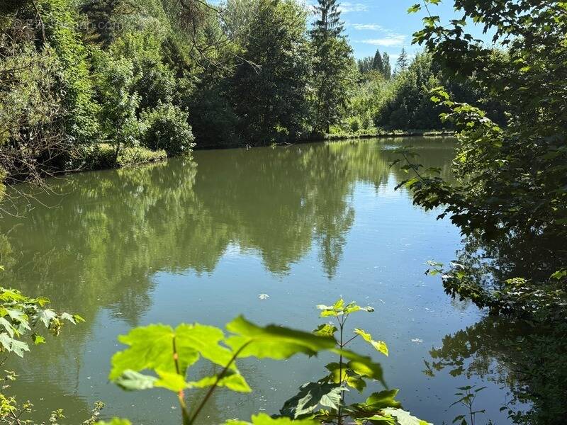 Terrain à BREUIL-LE-SEC