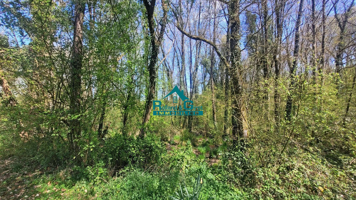 À vendre : Magnifique étang avec parcelle de lande à Sens de Bretagne - photo 4
