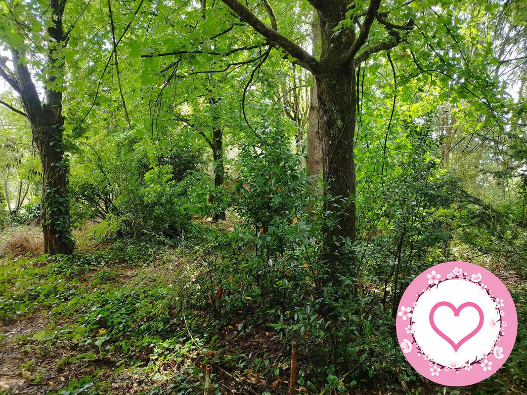 Maison à SULLY-SUR-LOIRE