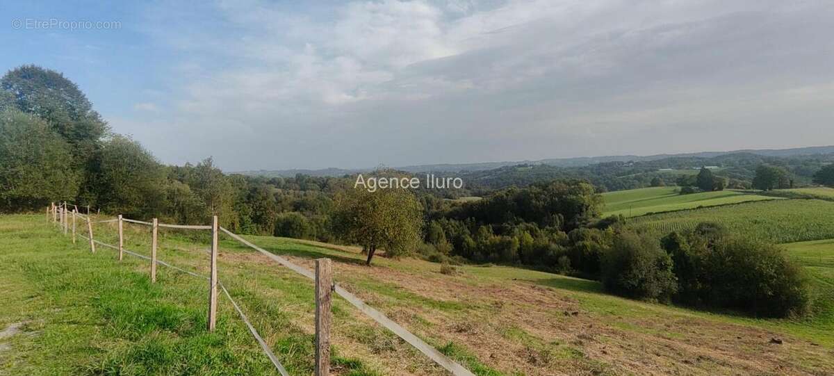 Entre Oloron et Pau -MAGNIFIQUE FERME sur + de  6 Ha de terres libres - photo 3
