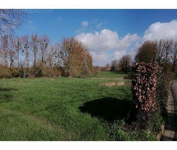 Terrain à ABBEVILLE